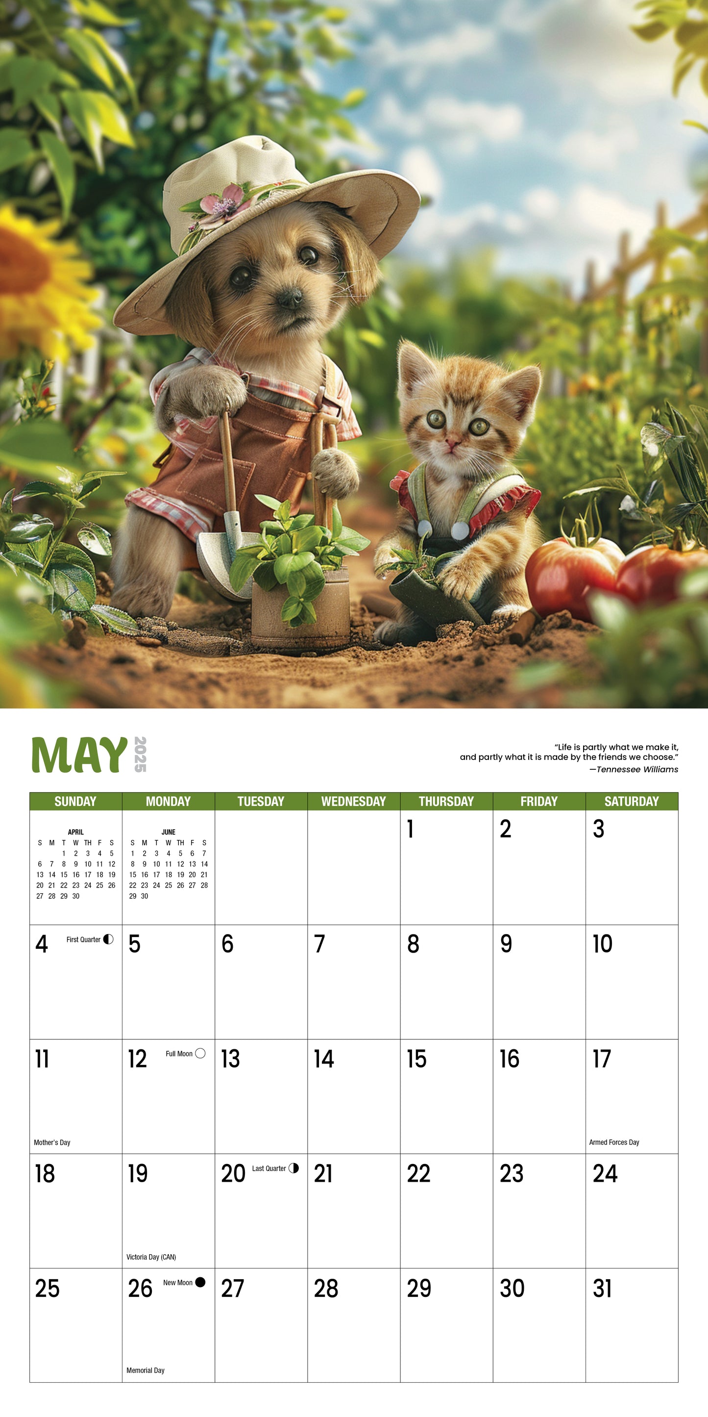 2025 Best Buddies: Puppies & Kittens Calendar